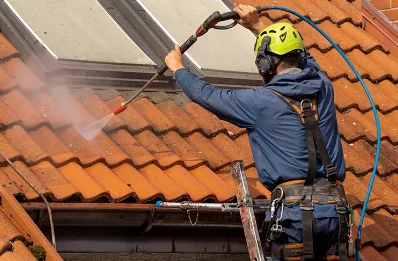 Démoussage et hydrofuge de toiture à Ronvaux